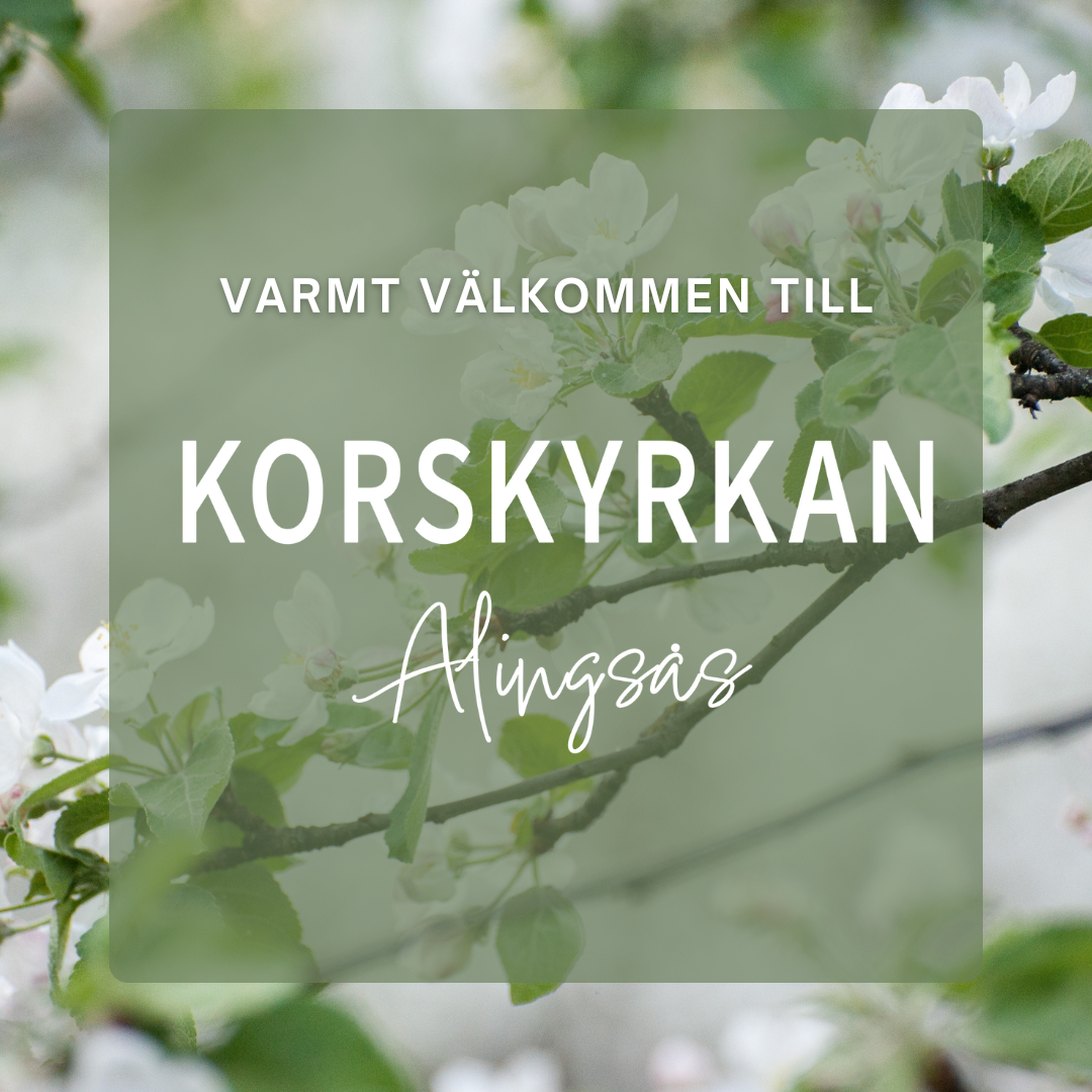 Möteshelg (kl 16)